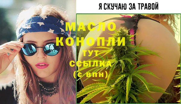 дмт Аркадак
