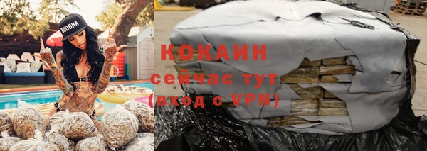 дмт Аркадак