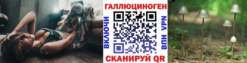 Псилоцибиновые грибы Cubensis  Можга 